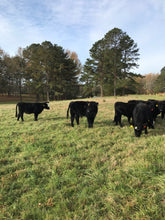 Load image into Gallery viewer, buy-meats-in-bulk-grassfed-cow
