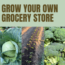 Load image into Gallery viewer, Grow Your Own Grocery Store
