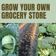 Grow Your Own Grocery Store