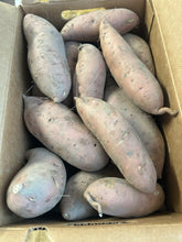Load image into Gallery viewer, 10 LB Christmas Box — Regenerative Sweet Potatoes
