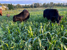 Load image into Gallery viewer, Regenerative Farm Coaching Program

