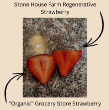 Load image into Gallery viewer, Regenerative Farm Coaching Program
